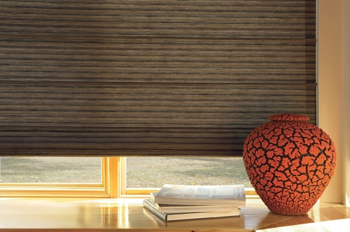 Hunter Douglas Window Treatments